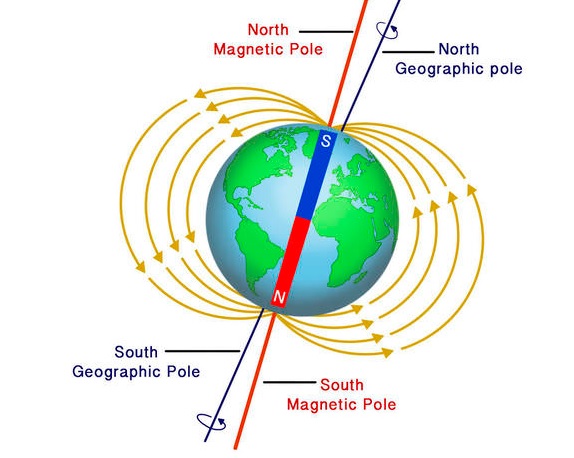 Magnetic pole